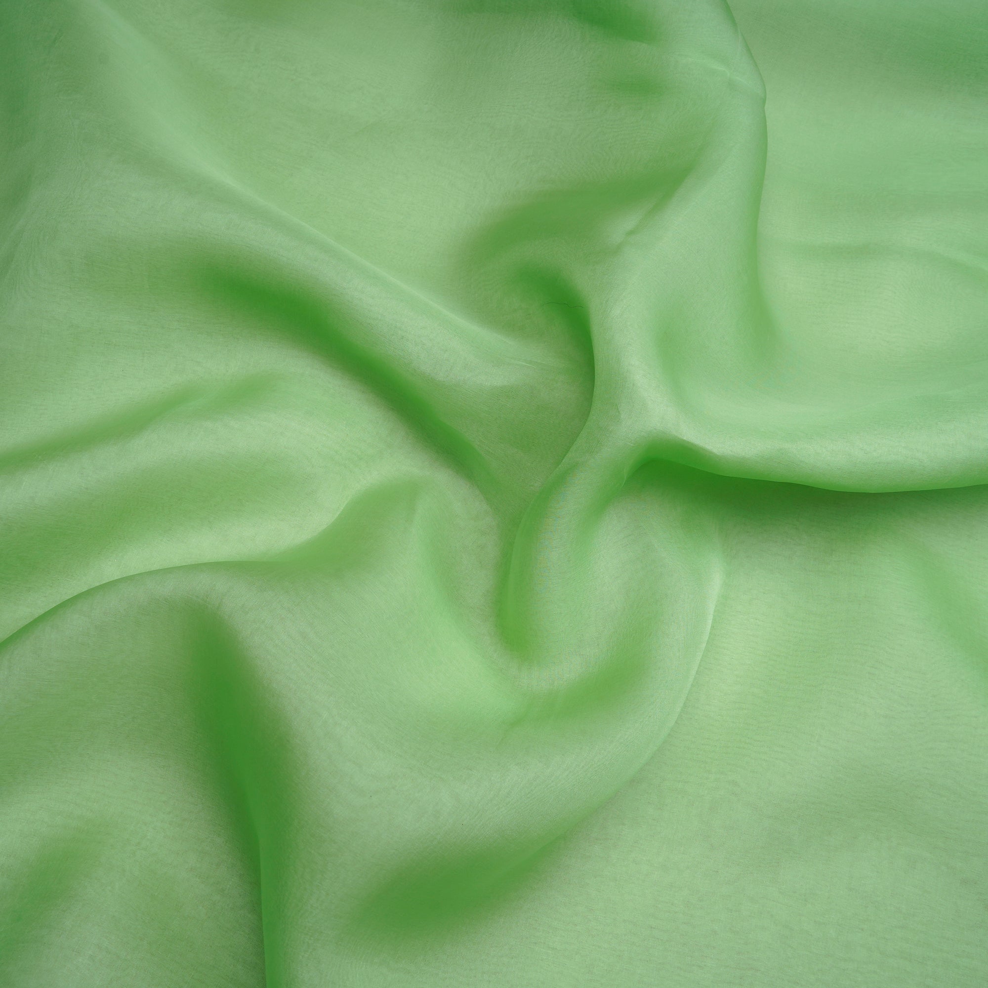 Light Green Piece Dyed 26 GLM Imported Organza Silk Fabric