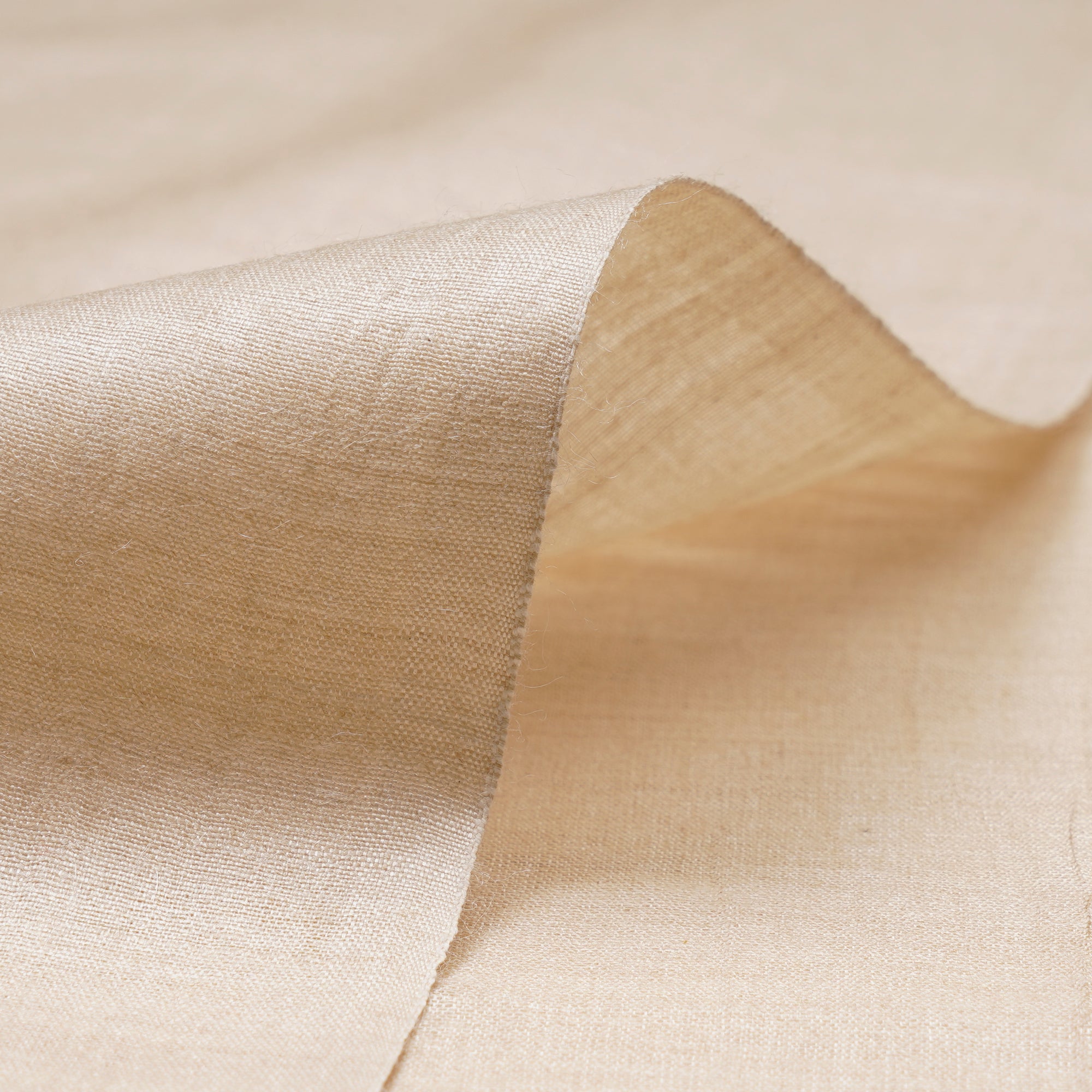 ( Pre Cut 1.55 Mtr ) Cream Color Tussar Silk Muga Fabric