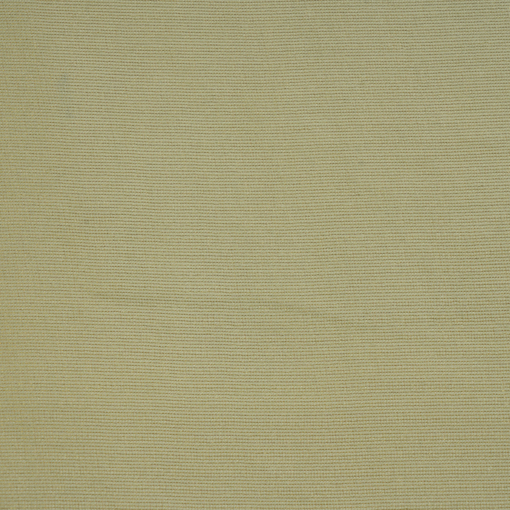 Mint Green Color Viscose Organza Tissue Fabric