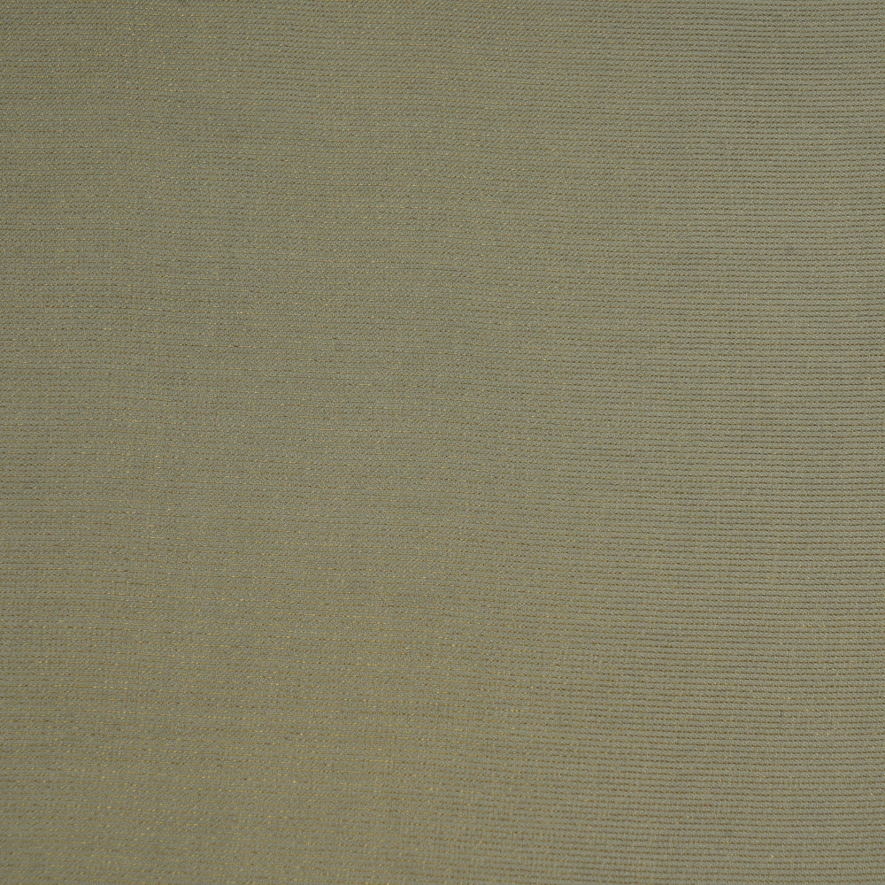 Sage Green Color Viscose Organza Tissue Fabric